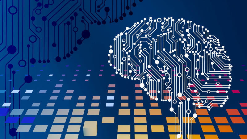 Google’s Doubled AI Overview Visibility; is the Opportunity for SEO Smaller in 2025?