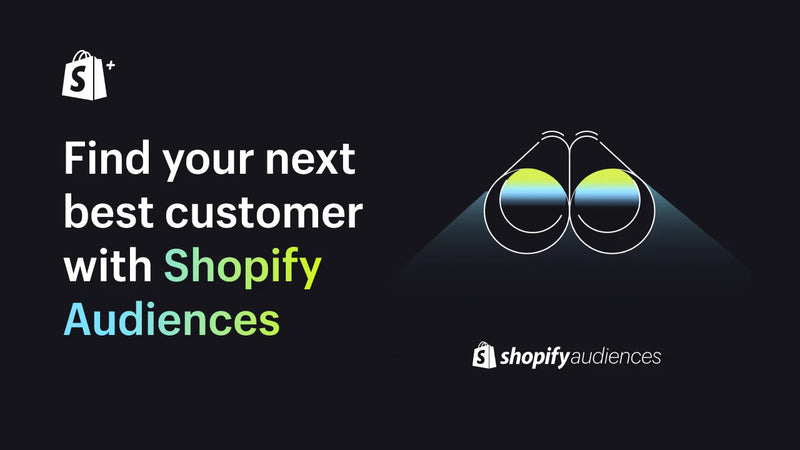 Shopify Audiences